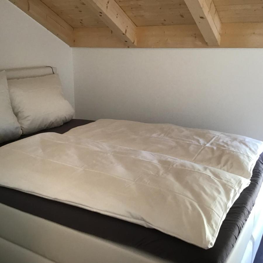 Vista-Apartments Ebersbach  ภายนอก รูปภาพ